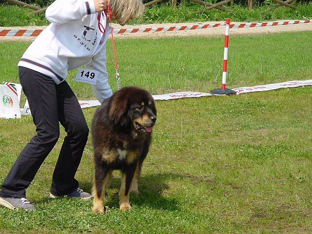 Immagine 064.jpg